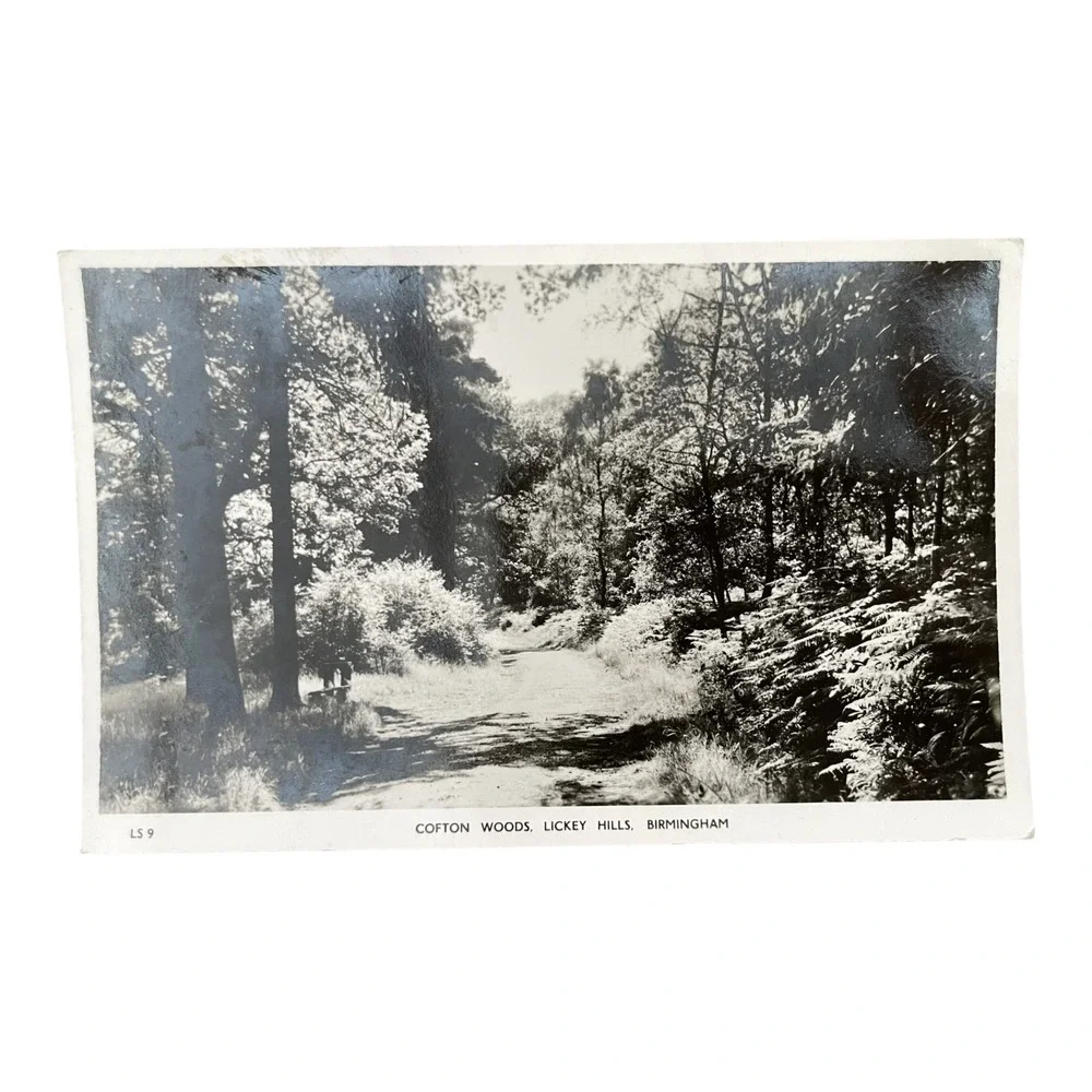 Vintage Postcard Cofton Woods Lickey Hills Birmingham England Mason's Light